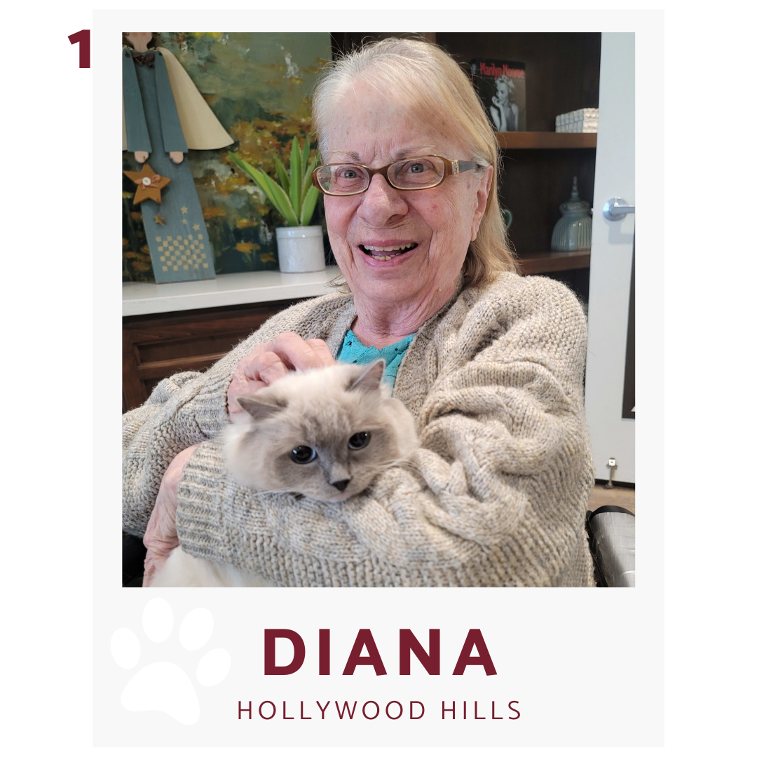 Pacifica senior living hollywood hills resident with her cat diana