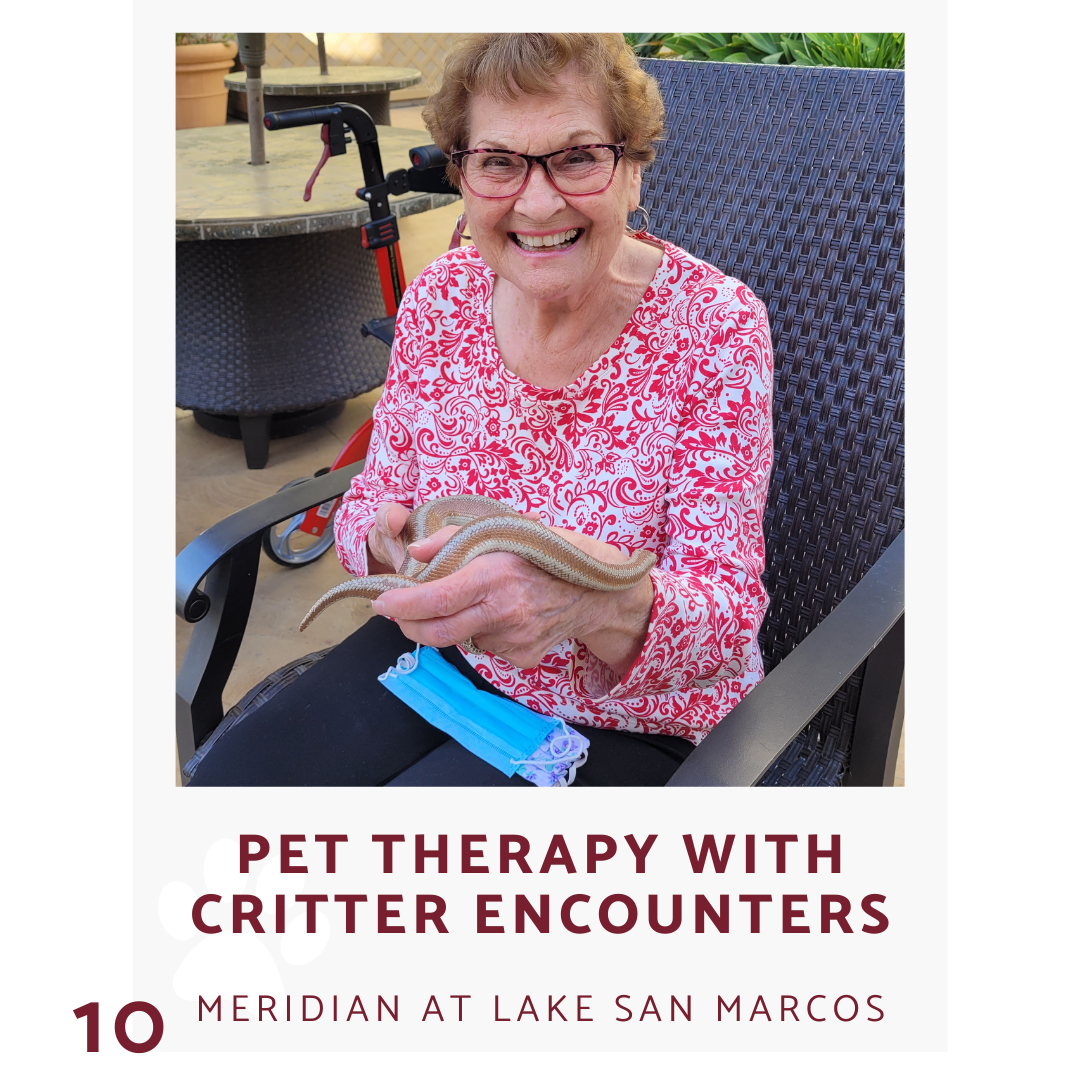 a women hold a snake from critter encounters at the meridian at lake san marcos