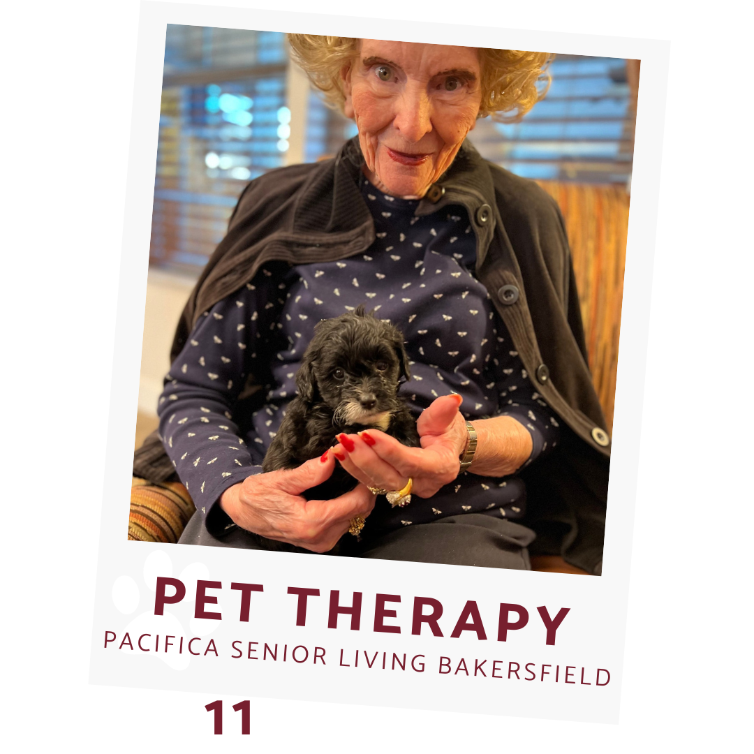 a resident holding a tiny puppy at pacifica senior living bakersfield