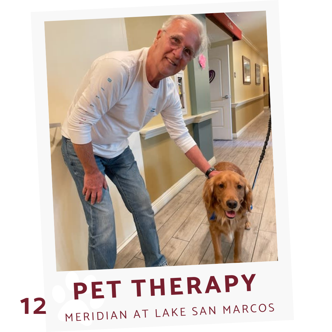 pet ttherapy at the meridian at lake san marcos