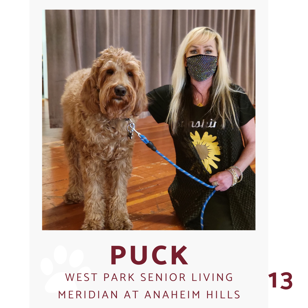 dog puck and his owner
