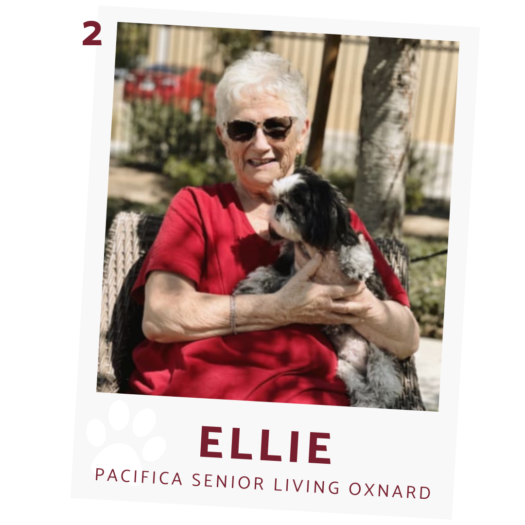 pacifca senior living oxnard resident with dog ellie