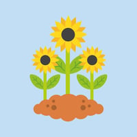 sunflower graphic for gardening activities