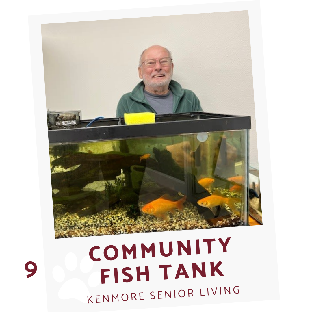 community fish tank at  Kenmore senior living