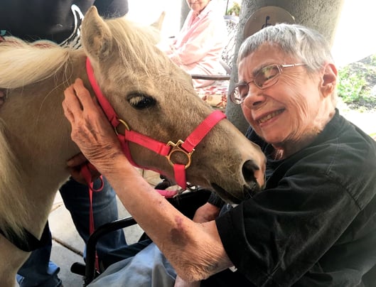 a Pacifica Senior living resident hugs a visiting horse