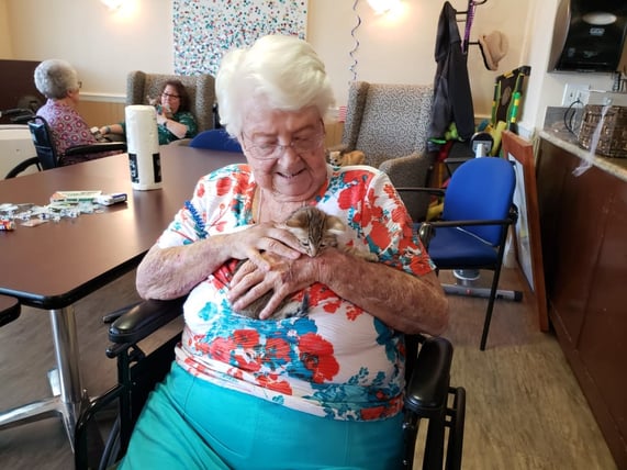 a pacifica senior living resident snuggles with a tiny tabby cat kitten