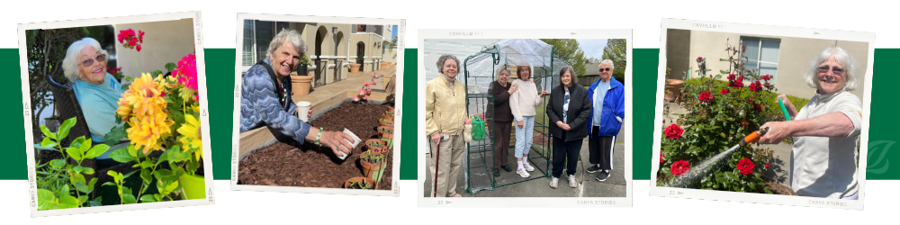 residents of pacifica senior living garden - collage of photos for banner image