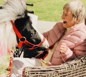 senior woman smiles at pet therapy horse