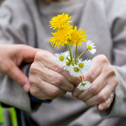 senior hands holding flowers